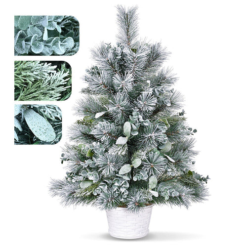 2ft Tabletop Christmas Tree with Eucalyptus & Pine Needle Accents